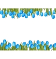 isolated tulip frame arrangement eps 10 vector image vector image