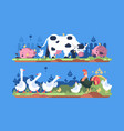 animals on farm vector image