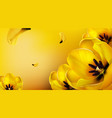 background with realistic yellow tulips vector image