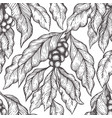 coffee tree branch seamless pattern vintage vector image vector image