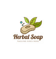 vintage rustic leaf with soap for beauty herb vector image