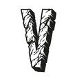 desert design letter v concept vector image vector image