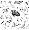 monochrome seamless pattern with arctic animals vector image vector image