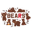 bears banner cartoon brown vector image