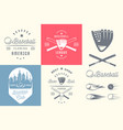 set of vintage baseball labels and badges vector image