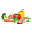 vegetable set vector image