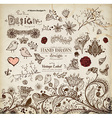 hand drawn floral ornaments vector image