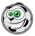 football ball vector image vector image