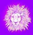 patterned ornate lion head african indian totem vector image vector image
