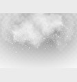 snow and wind on a transparent background white vector image