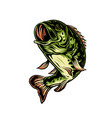 bass fish hand drawn line style with digital vector image