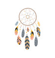 dream catcher with feathers jewels and colorful vector image vector image