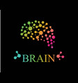 brain logo icon template vector image