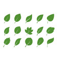 set of isolated green leaves vector image
