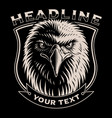 black and white of eagle head vector image vector image