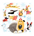 new year set of different funny dogs vector image