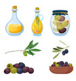 set of olive products on white background vector image vector image