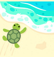 cute baby turtle on beach vector image vector image