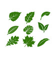 set of green leaf silhouette logo vector image vector image