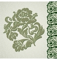 flower vintage lace vector image