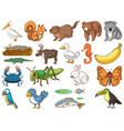 large set wildlife with many types animals vector image