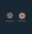 luxury decorative ornament logo design set vector image vector image