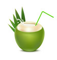 realistic 3d detailed coconut water drink vector image