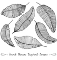 six different hand drawn banana leaves vector image
