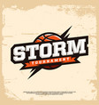 modern professional basketball logo for sport team vector image