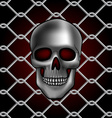 skull fence vector image vector image
