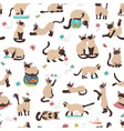 cartoon cat characters seamless pattern different vector image