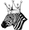 black and white zebra head on background vector image