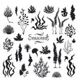 seaweeds silhouettes underwater coral reef hand vector image vector image