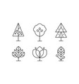 collection of trees in linear style decorative vector image