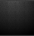 leather texture seamless black background vector image vector image