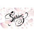 spring lettering web banner template color pink vector image vector image