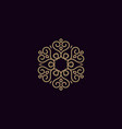 beauty elegant mandala ornament pattern line art vector image