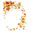 maple leaves swirl vector image