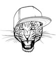 monochrome leopard head vector image