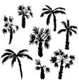 set of palm tree silhouettes vector image vector image