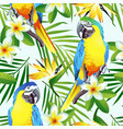 tropic birds vector image