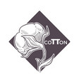 cotton flower in blossom monochrome sketch outline vector image
