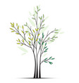 tree background with green leaves vector image