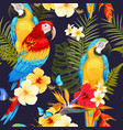 seamless macaw and flowers vector image
