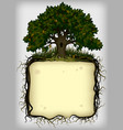 oak tree with roots frame vector image