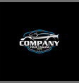 detailing car logo and car wash logo vector image vector image