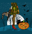 halloween night witch with wizard hat vector image