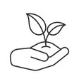 open hand with sprout linear icon vector image