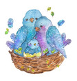 watercolor birds family mother father and chick vector image