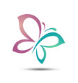 colorful wings beauty butterfly vector image